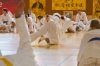 20150730_karatecamp_0091