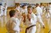 20150730_karatecamp_0154