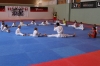 20150730_karatecamp_0203