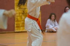 gürtelprüfung 20122017023