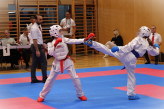 IMG_0130