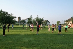 Gans2018(245)