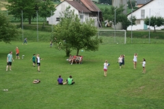 Gans2018(374)